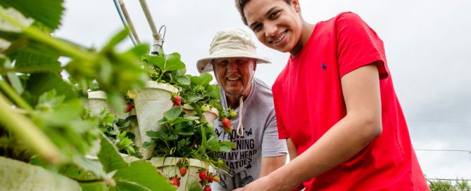 Adult mentor and teenager working together in hydroponic garden.