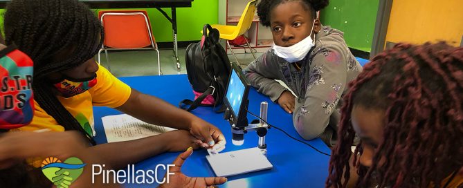 Shirley Proctor Pulley Foundation brings STEM activities to South St. Pete students.