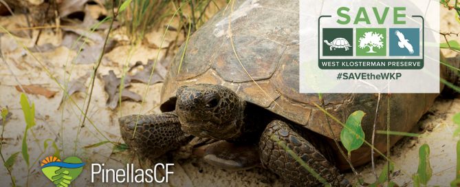 Time is critical to save the West Klosterman Preserve and the native species that inhabit it.