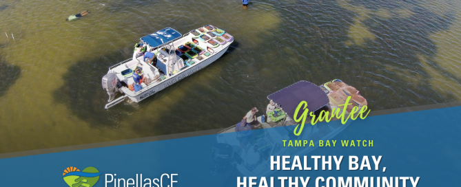 Tampa Bay Watch installs oyster reef balls and plants native grasses to create living shorelines.