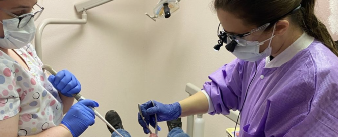 Restoring Health and Dignity Through Dental Care